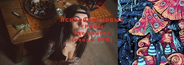 a pvp Алзамай